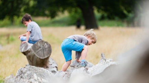 Two young children climbing on a fallen tree in the parkland during summer